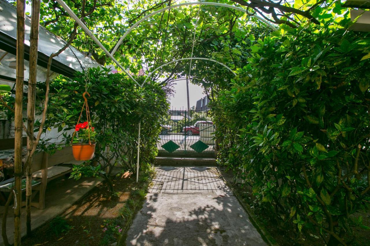 Guest House Lavr Gagra Buitenkant foto